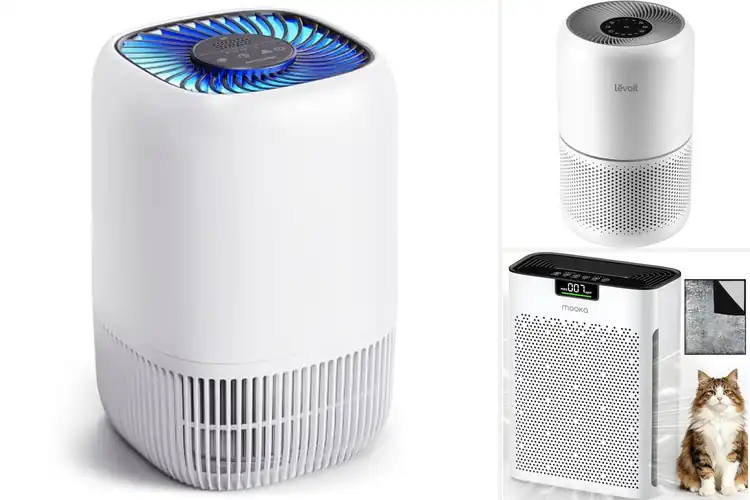 Detailed view of Best Air Cleaners: Pick Your Perfect Home Freshener Now
