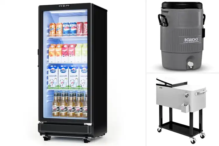 Detailed view of Best Beverage Coolers: Top Picks for Every Chilling Need