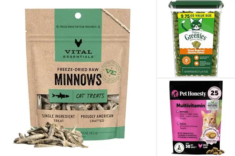 Detailed view of Best Cat Health Products: Top 10 Picks for a Thriving Feline