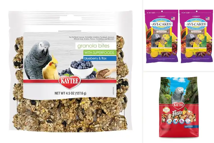 Detailed view of Best Foraging Parrot Food