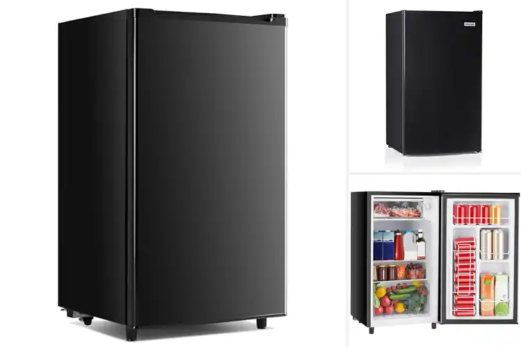 Detailed view of Best Mini Refrigerators