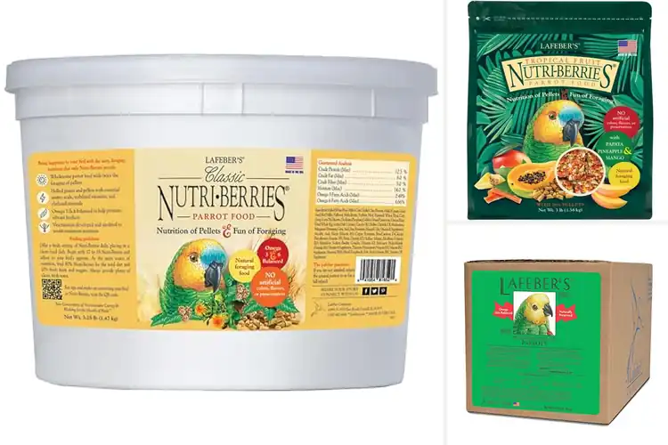 Detailed view of Best Non-GMO Human-Grade Parrot Food Ingredients