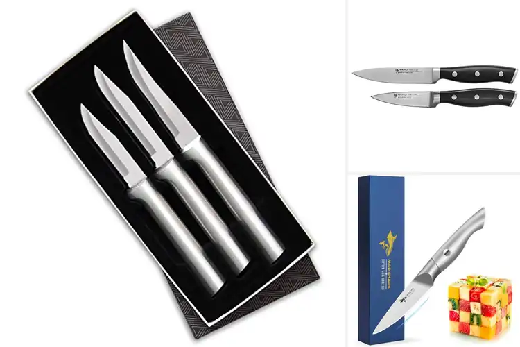 Detailed view of Best Stainless Steel Paring Knives